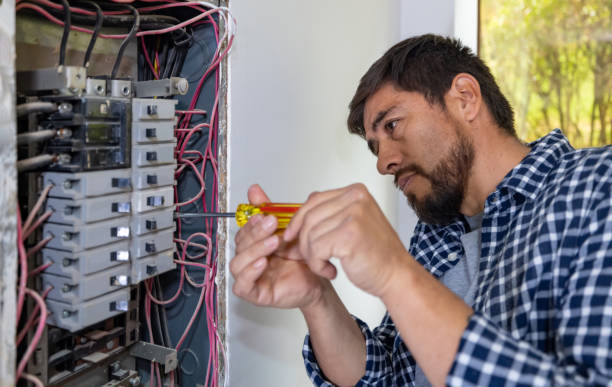 Best Electrician for Home Renovation  in Carey, ID